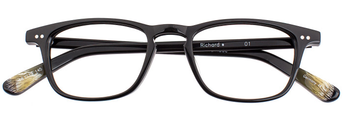 Eyes on Brickell Videre – VIDERE RICHARD Black