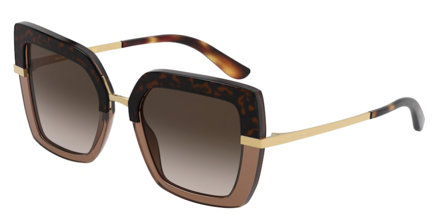 Eyes on Brickell Dolce Gabbana – 0DG4373 Havana on Transparent Brown