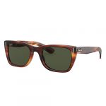 Caribbean Striped Havana Green Classic Sunglasses: Eyes on Brickell