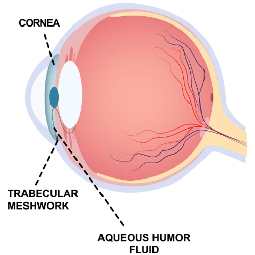 Eyes on Brickell: Normal Eye